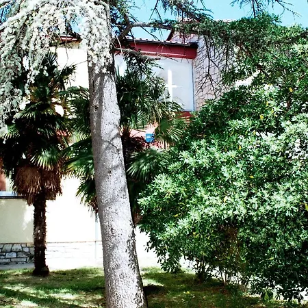 Hostel Amfora *
