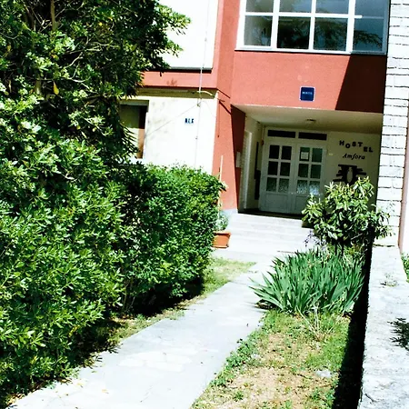 Hostel Amfora *