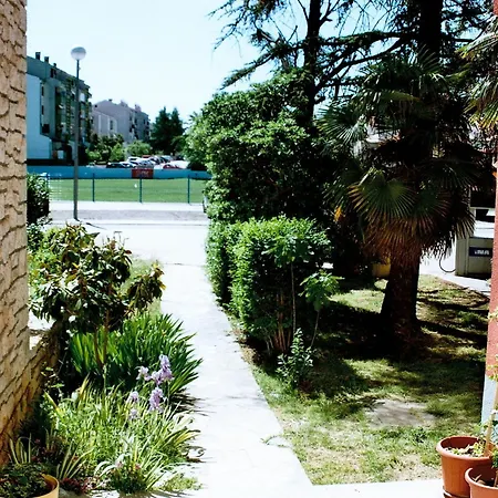 Hostel Amfora
